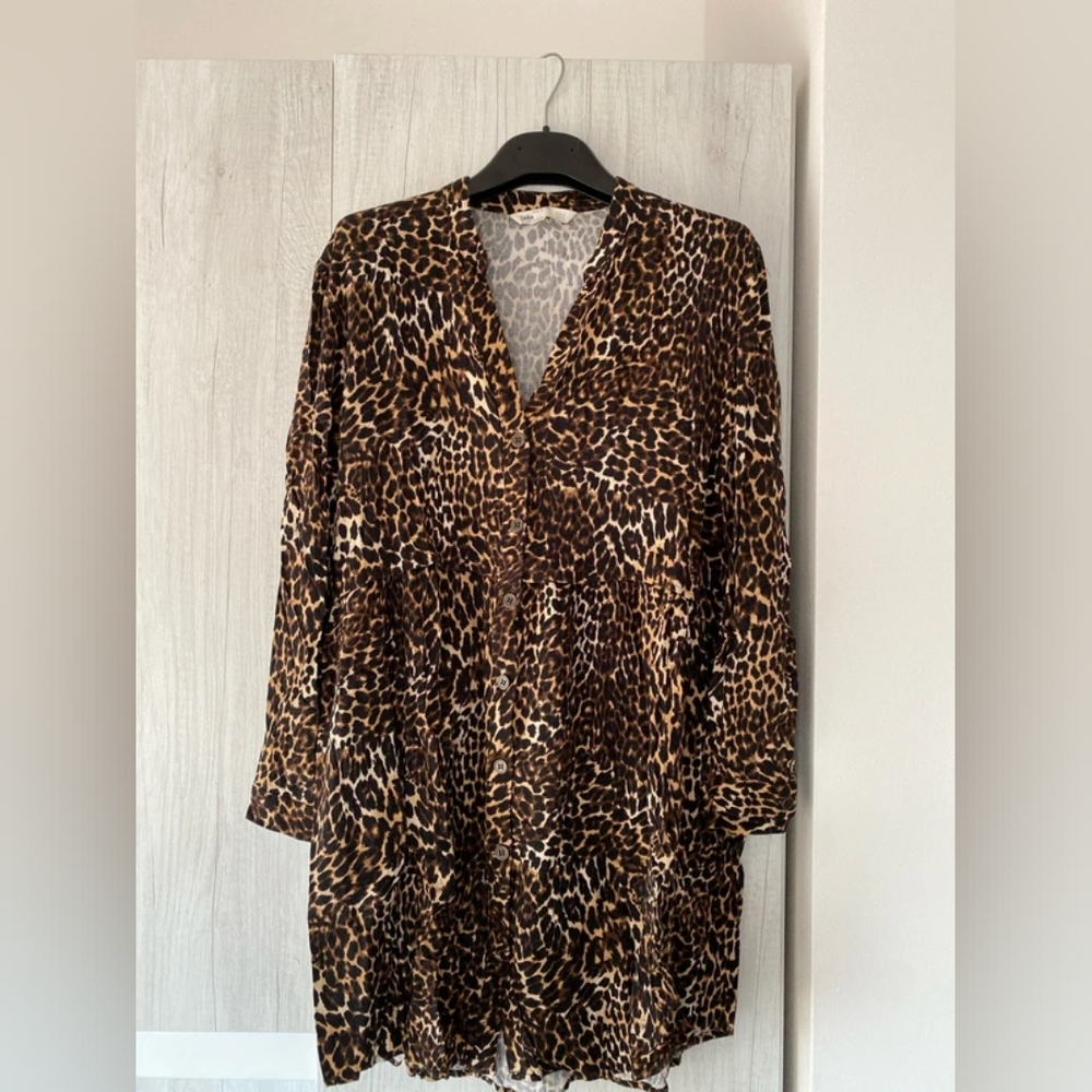 Zara Leopard Print Long Sleeve Dress